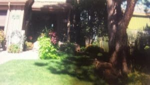 20150419161849_heier-h-out