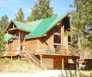 20190902114434_bufflo 1